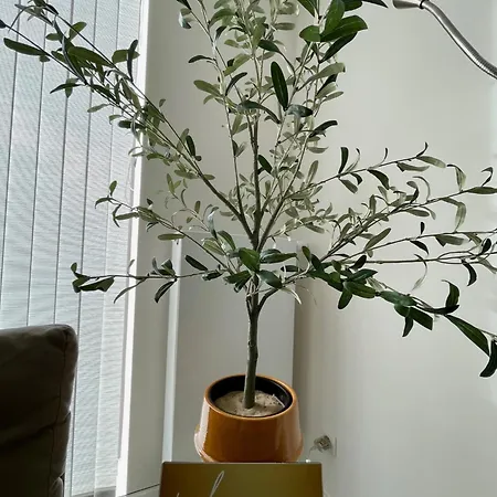 West Bay Middelkerke