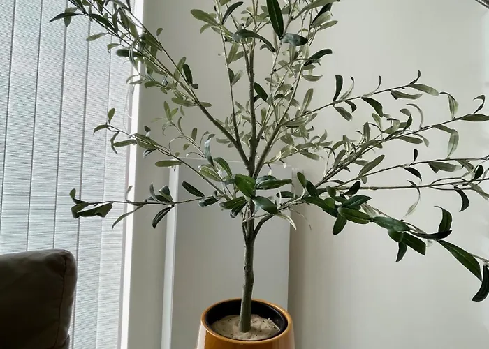 West Bay 미들케르케